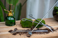 Terrarienpinzette – Edelstahl – 26cm – Lange Greifpinzette für Terrarium & Flaschengarten – Plant