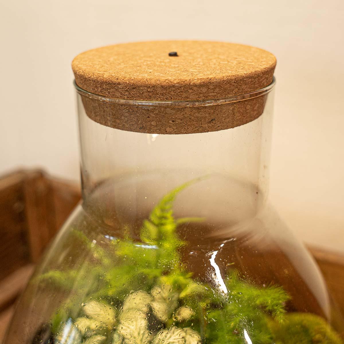 LED Korkdeckel – Kork mit Beleuchtung – LED Lampe für Terrarium 10,3x9x2,7cm – Stimmungslicht für Flaschengarten & Dekoglas – Batteriebetrieben & kabellos – Plant