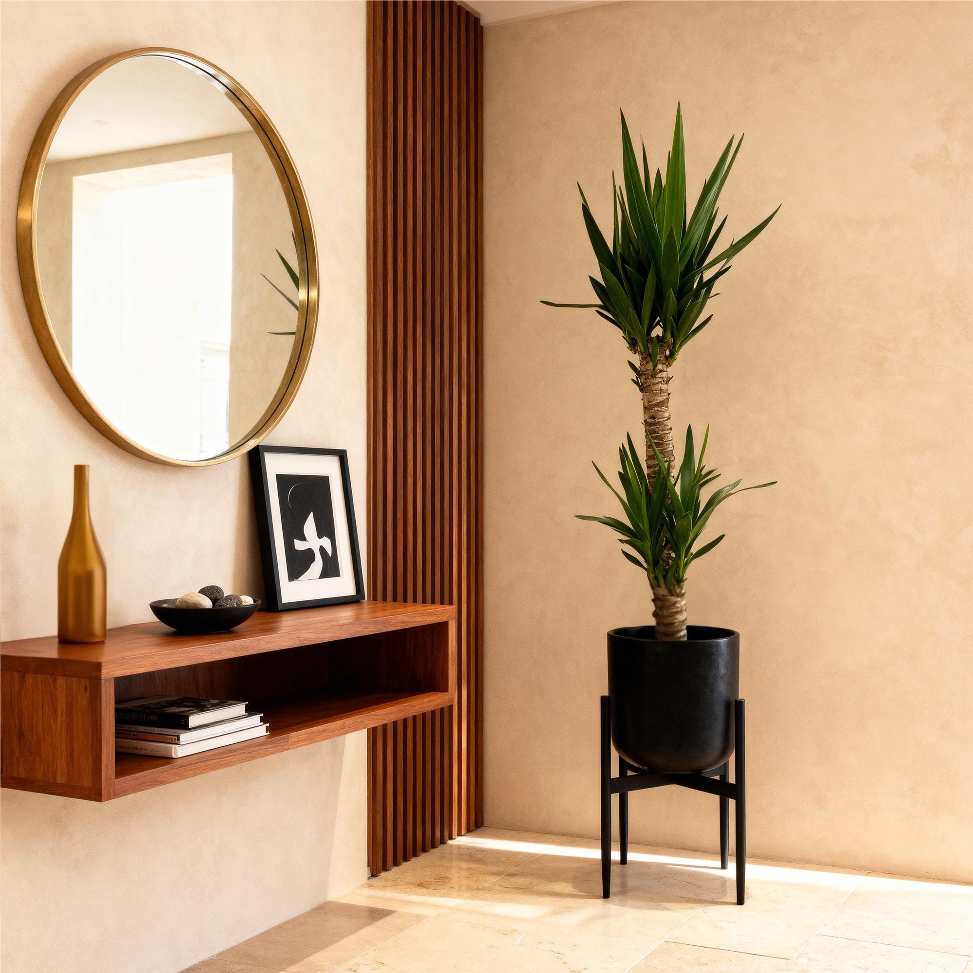 Yucca Elephantipes – 120cm – 19cm – Pflegeleichte Zimmerpflanze mit schmalen Blättern – Robuste Palmlilie für helle & halbschattige Innenräume – Plant