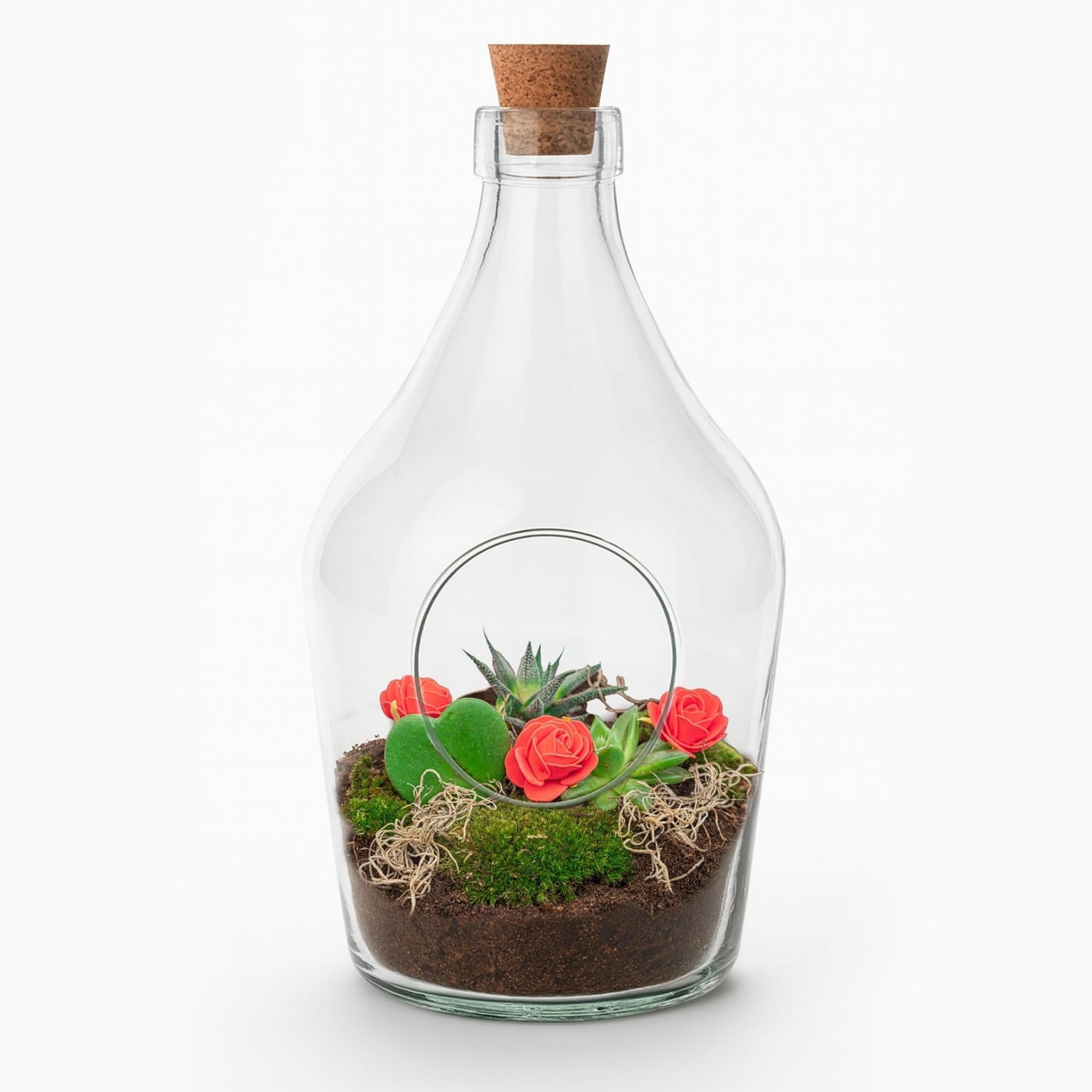 Love in a Bottle DIY Pflanzenterrarium Ø16cm Höhe30cm – Offenes Flaschenterrarium mit Hoya Kerrii Herzpflanze – Sukkulenten Set