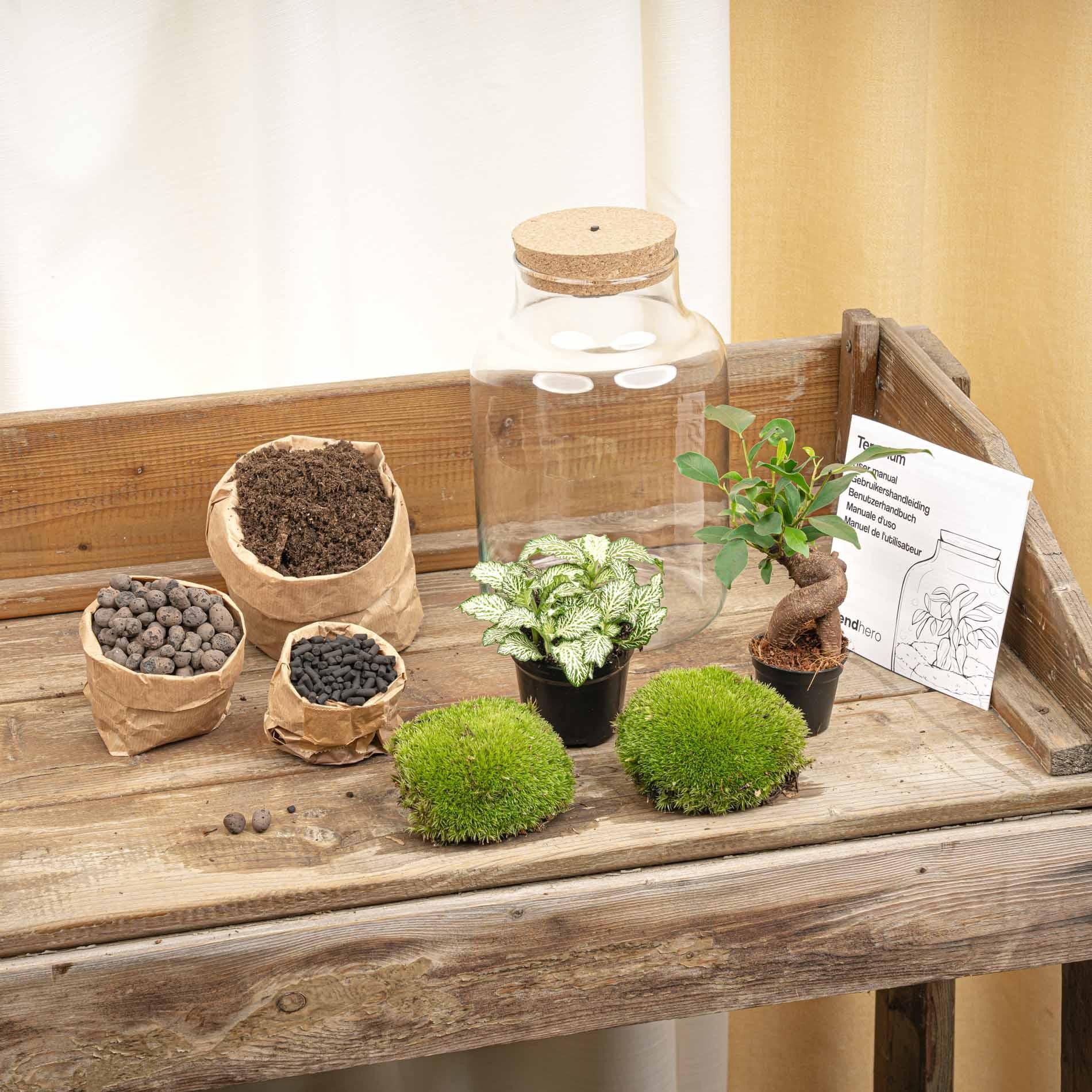 Flaschengarten DIY Bausatz – Terrarium Little Milky mit LED – Kork – Ø17cm x H25cm – Selbstversorgendes Mini – Ökosystem – Plant