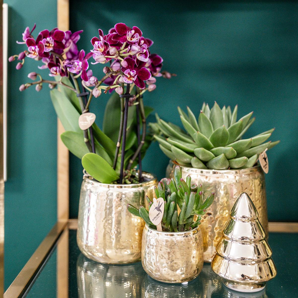 Luxuriöser Blumentopf Gold – Keramik Ziertopf Ø9cm – Glänzender Pflanzkübel für Zimmerpflanzen – Edler Deko – Übertopf in Gold – Plant