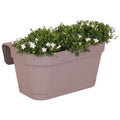 Campanula Addenda Ambella weiß 3er Set mit Balkonpflanzer taupe 36cm – Glockenblume weiß 12cm – inkl Aufhängesystem & Wasserreservoir – Plant