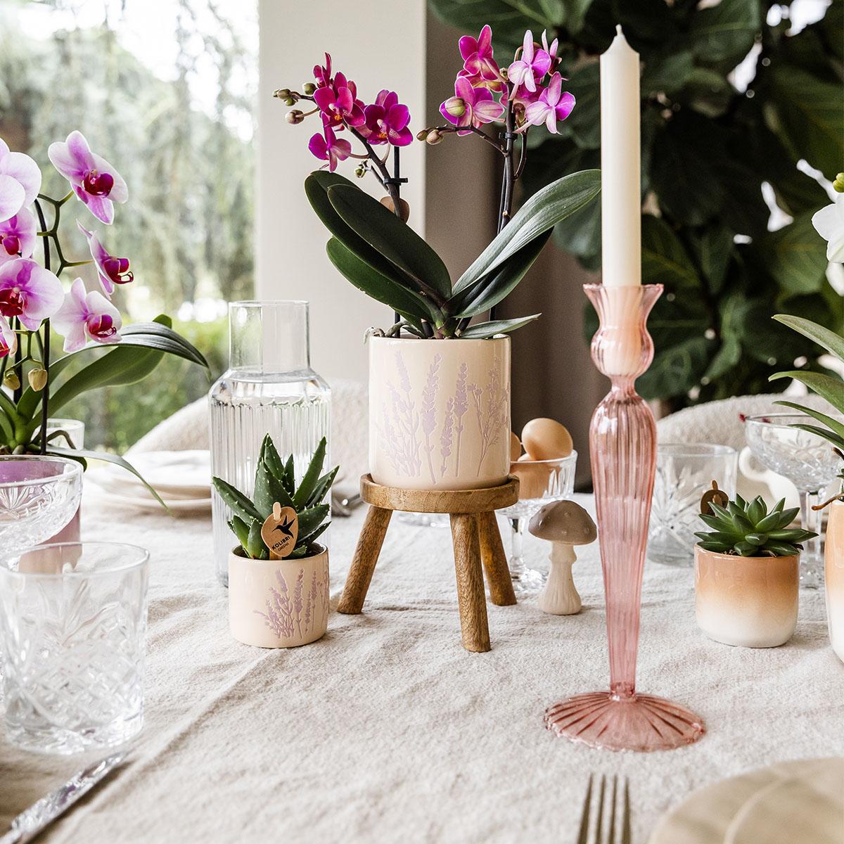 Blumentopf Lavendel Ø9cm – Pflanztopf in sanftem Violett – Für kleine Zimmerpflanzen, Kräuter, Sukkulenten & Mini – Arrangements – Stilvoll & robust – Plant
