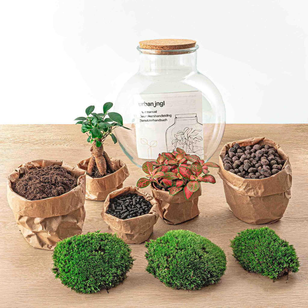 Flaschengarten DIY Bausatz Teddy Bonsai – Terrarium Ø25cm x H26,5cm – Do – It – Yourself Pflanzterrarium – Autarkes Mini – Ökosystem – Plant
