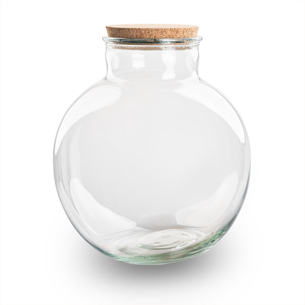 Terrarienflasche Bolder Bob mit Korken – Ø30cm ↕31cm – Glasflasche aus Recyclingglas – ca. 11L Volumen – Für DIY – Terrarien & Mini – Ökosysteme – Plant