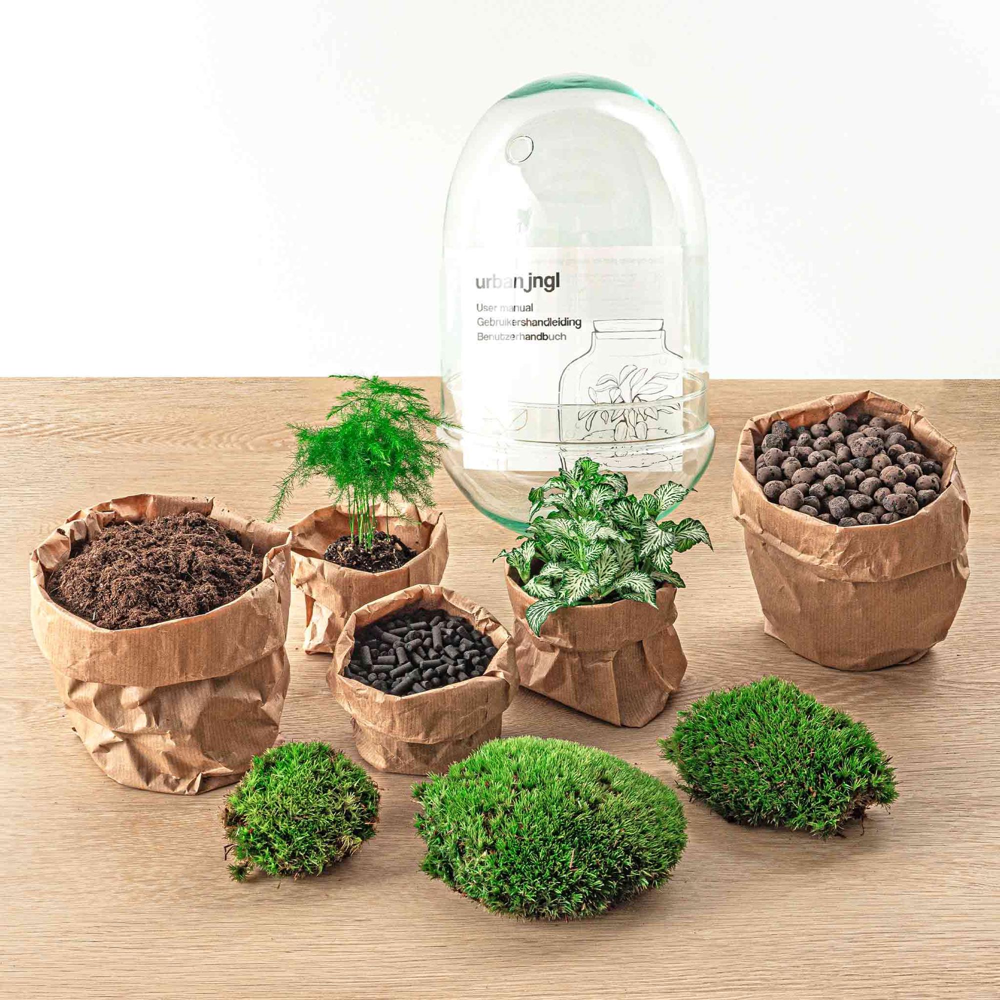 Flaschengarten Egg XL – DIY Bausatz Terrarium – ↕30cm – Do – It – Yourself Pflanzen – Set im Glas mit Korkdeckel – Autarkes Mini – Ökosystem – Plant