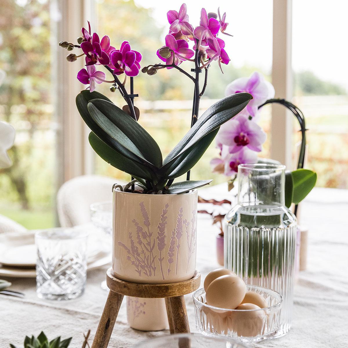 Blumentopf Lavendel Ø9cm – Pflanztopf in sanftem Violett – Für kleine Zimmerpflanzen, Kräuter, Sukkulenten & Mini – Arrangements – Stilvoll & robust – Plant