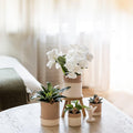 Bamboo Übertopf Sand – Blumentopf Ø9cm – Naturfarbener Pflanztopf mit Bambusstruktur – Moderner Übertopf für Orchideen Zimmerpflanzen & Deko – Pot