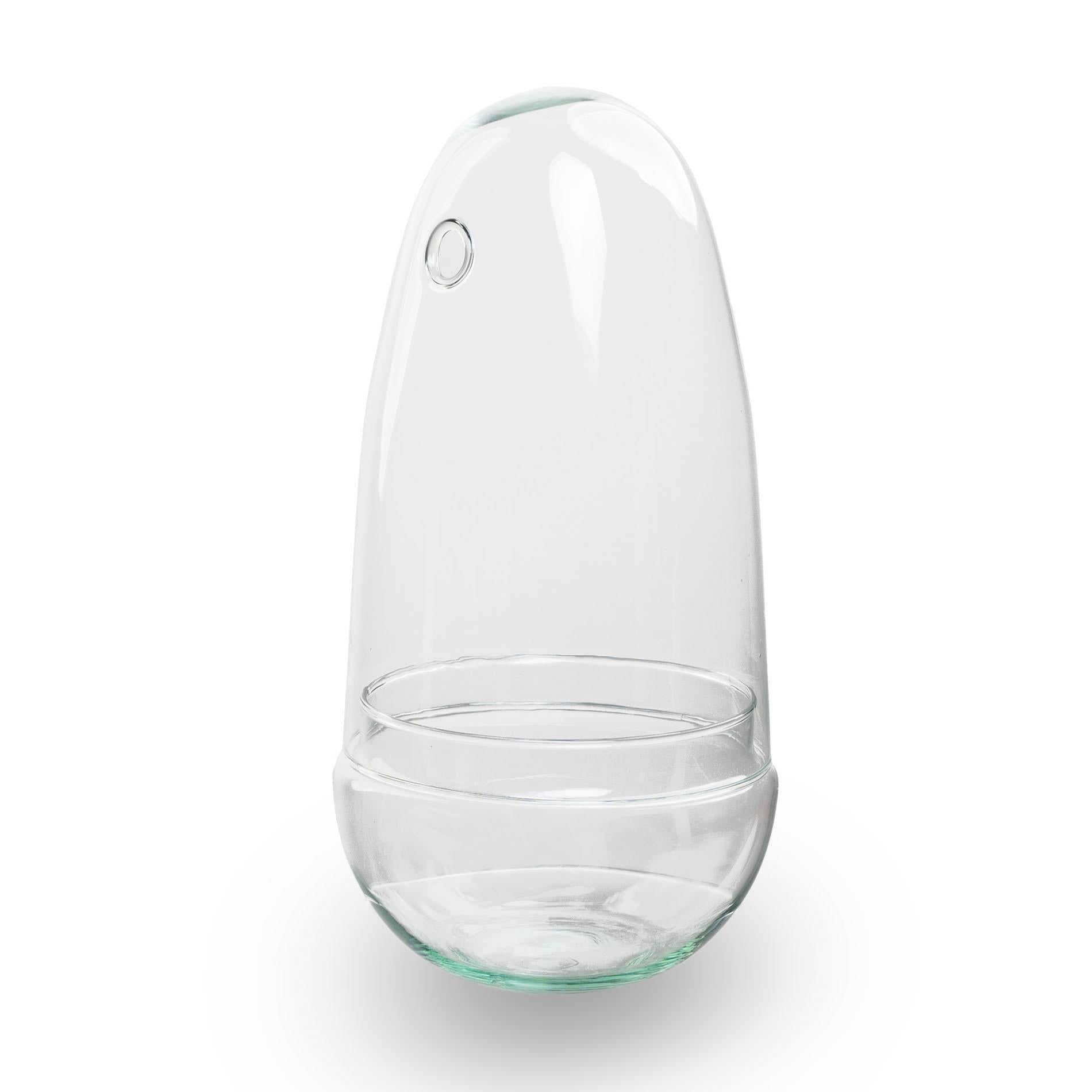Flaschengarten Ei – Terrarium – Recyceltes Glas – ↑26cm x Ø12cm – DIY Pflanzenglas für Mini – Dschungel & Dekoration – Plant