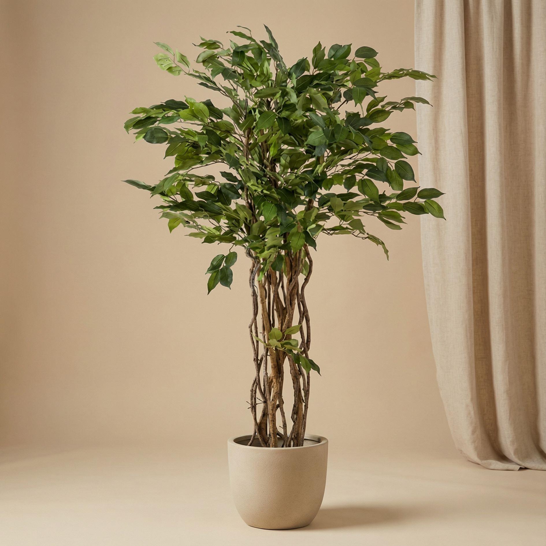 Ficus Liana Kunstbaum – 140cm – künstliche Pflanze mit realistischer Blattstruktur – Pflegefreier Deko Baum für Wohnzimmer Büro & Empfangsbereich – Standard