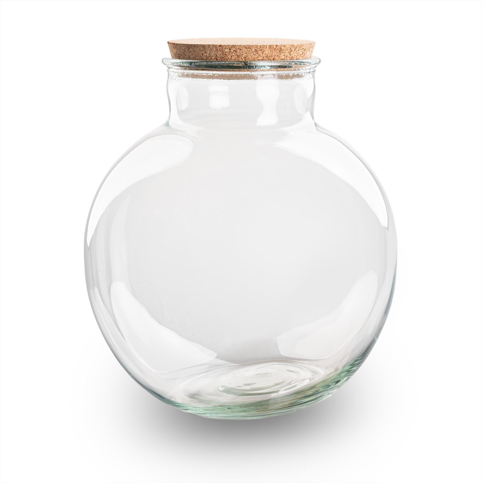 Terrariumflasche Bolder Bob – Ø30cm x 31cm – Glasflasche mit LED – Korken – Plant