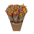 Trockenblumen Strauß Market More Multi – Getrocknete Blumen Deko – Handgebunden – Natürliche Dekoration – Langlebig & Pflegeleicht – 50cm – Plant