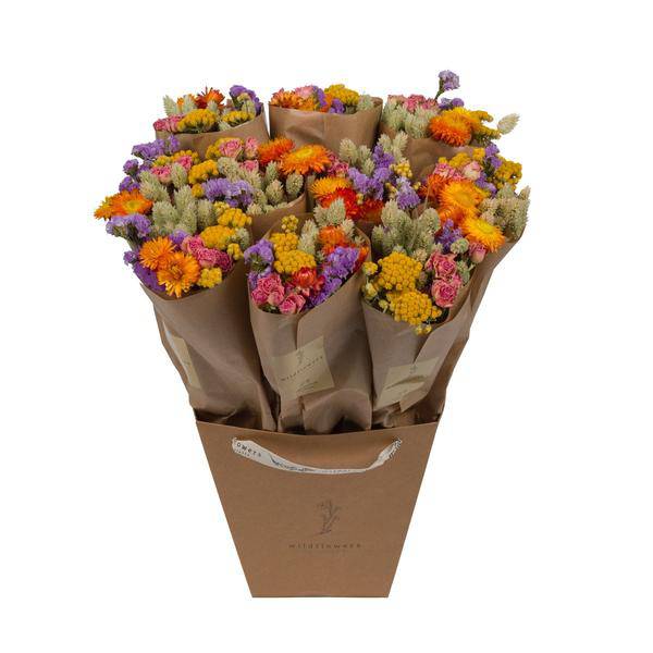 Trockenblumen Strauß Market More Multi – Getrocknete Blumen Deko – Handgebunden – Natürliche Dekoration – Langlebig & Pflegeleicht – 50cm – Plant