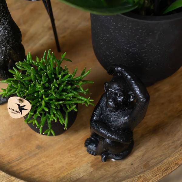 Kerzenständer Deko Schwarz Polystone ↕13cm – dekorativer Kerzenhalter, Tischdeko & Wohnaccessoire für Zuhause – Plant