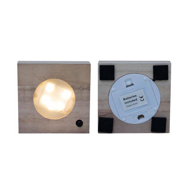 Clusia Hydroponie – Pflanze im Samoa Glas mit LED – Beleuchtung Zimmerpflanze Ø4cm – pflegeleichte Grünpflanze für Wohnzimmer, Büro & helle Standorte – Plant