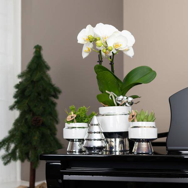 Le Chic Blumentopf Weiß mit silbernen Details – Dekorativer Keramiktopf Ø9cm – Eleganter Ziertopf für Orchideen & Grünpflanzen – Plant