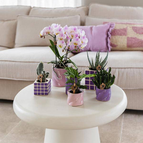 Dekotopf Candy – Rosa – Ø9cm – Keramik Blumentopf in glänzender Optik – Runde Form – Für Orchideen, Sukkulenten & Zimmerpflanzen – Plant