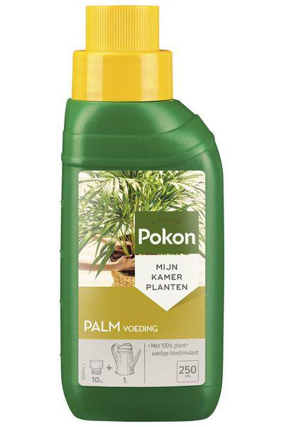 Palmen Pflanzennahrung – Flüssigdünger 250ml – Nährstoffreicher Spezialdünger für Palmen & Zimmerpflanzen – Plant