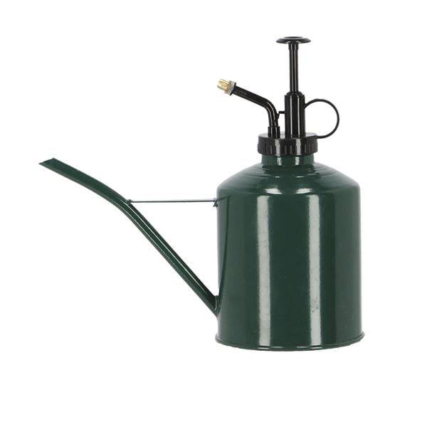Gießkanne & Pflanzensprüher 2 – in – 1 Zimmerpflanze – pflegeleichte Grünpflanze für Wohnzimmer, Büro & helle Standorte kaufen – Plant