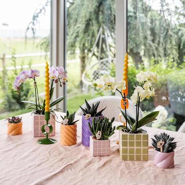 Candy Dekotopf Pfirsich – Ø6cm – Keramik Übertopf in Pastellfarbe – Stilvoller Blumentopf für Zimmerpflanzen & Orchideen – Fröhlicher Pflanzentopf – Plant