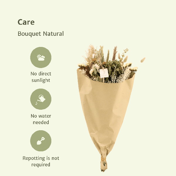 Trockenblumen Feldblumenstrauß Ø25cm ↕60cm – dekorativer Trockenblumenstrauß für Vase, Tischdeko, Wohnzimmer & Geschenkidee – Plant