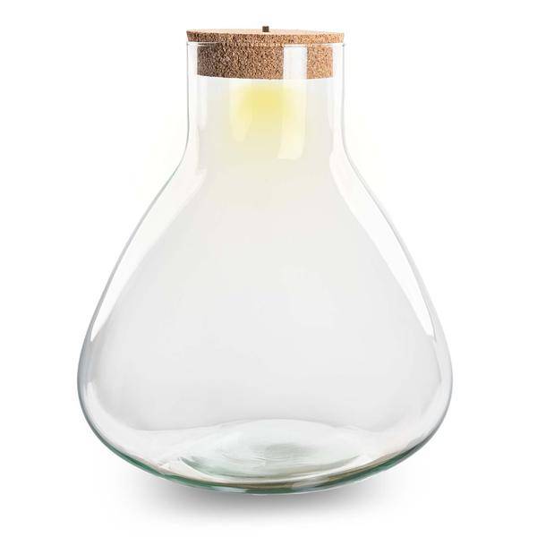 Flaschengarten ↕32cm – pflegeleichter Flaschengarten im Glas, Pflanzen Terrarium für Wohnzimmer & Büro – Plant