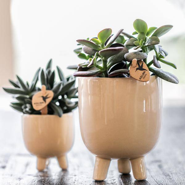 Kombi – Angebot Gummitöpfe Travertin – 3er Set Blumentöpfe Ø6cm, Ø9cm & Ø12cm – Dekotöpfe in Natursteinoptik – Plant