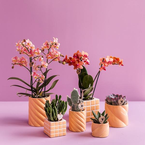 Candy Blumentopf Pfirsich Ø9cm – Dekorativer Keramiktopf in moderner runder Form – Pflanzentopf für Orchideen, Sukkulenten & Grünpflanzen – Plant