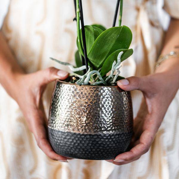 Blumentopf Elite Kupfer – Ø9cm – Moderner Keramik Übertopf – Dekorativer Pflanztopf für kleine bis mittelgroße Zimmerpflanzen – Stilvolle Innendeko – Plant