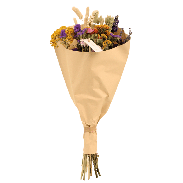 Trockenblumen Feldblumenstrauß Multi Ø25cm ↕60cm – dekorativer Trockenblumenstrauß für Vase, Tischdeko, Wohnzimmer & Geschenkidee – Plant