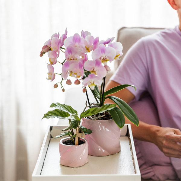 Dekotopf Candy – Rosa – Ø9cm – Keramik Blumentopf in glänzender Optik – Runde Form – Für Orchideen, Sukkulenten & Zimmerpflanzen – Plant