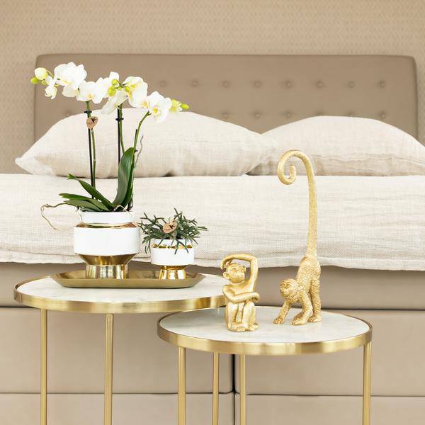 Ovales Tablett – Gold – Metalltablett 30x13cm – Dekoteller für Pflanzen, Töpfe & Wohnaccessoires – Stilvolle Ablage für Orchideen & Deko – Sets – Plant
