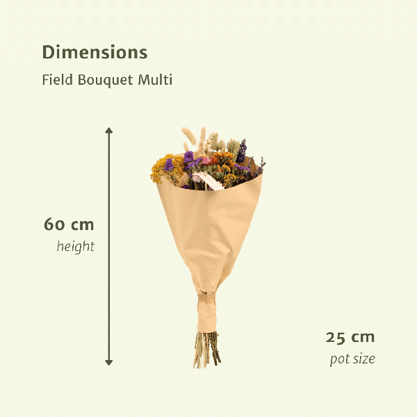 Trockenblumen Feldblumenstrauß Multi Ø25cm ↕60cm – dekorativer Trockenblumenstrauß für Vase, Tischdeko, Wohnzimmer & Geschenkidee – Plant