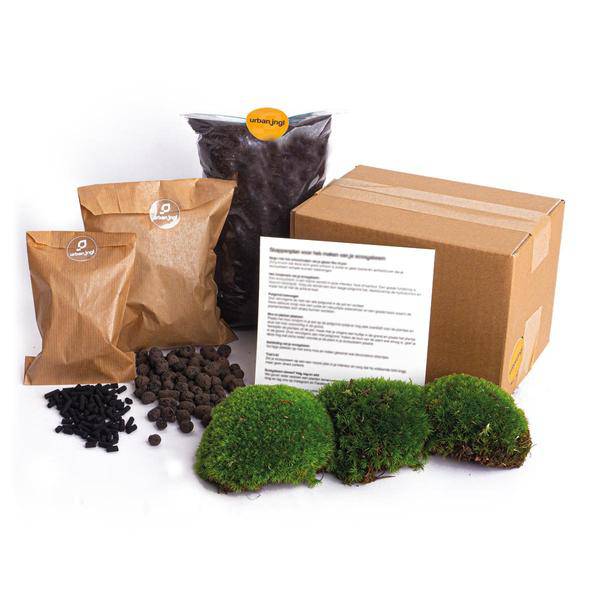 Flaschengarten Bausatz – DIY Starter Kit & Nachfüllpackung – Mini-Pflanzenterrarium Set mit Erde, Hydrokörnern, Aktivkohle & Blumenzwiebeln – Plant