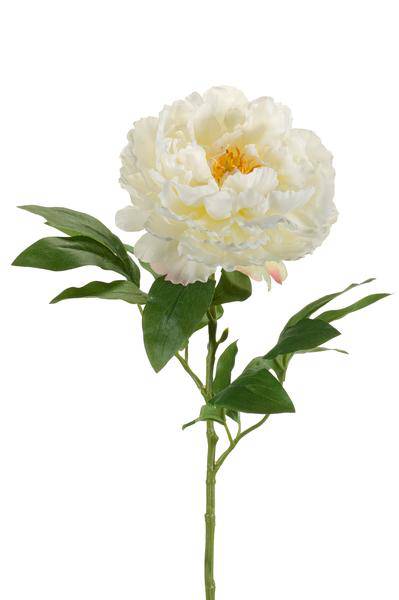 Künstliche Blumenstrauß Pfingstrosen Creme – 5 Stück je 65cm – Realistische Kunstblumen – Zeitloser Deko Blumenstrauß – Plant