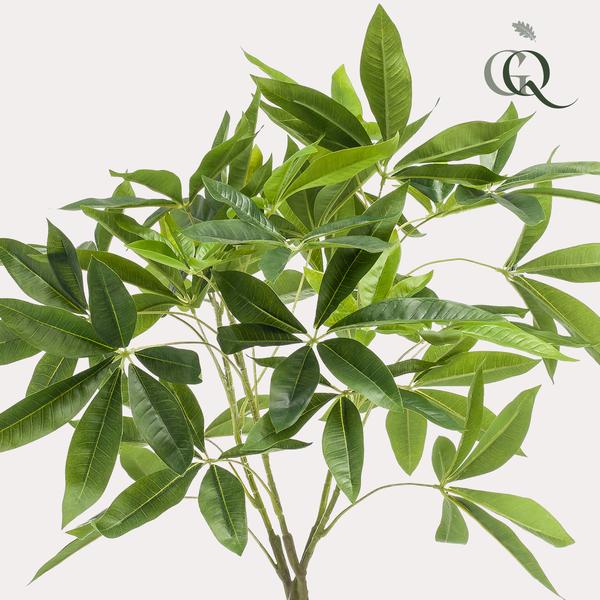 Glückskastanie Pachira Aquatica – Künstliche Zimmerpflanze – ↕90cm – Realistischer Doppelstamm & große glänzende Blätter – Pflegefrei – Plant