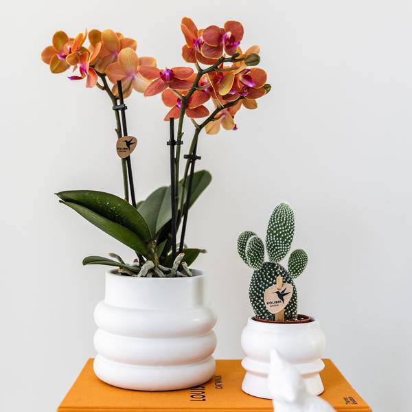 Bubble Dekotopf – Weiß – Ø9cm – Keramik Blumentopf mit Struktur – Stilvoller Pflanzentopf für Sukkulenten, Kakteen & kleine Zimmerpflanzen – Plant