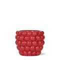 Beeren – Topf Zimmerpflanze Ø9cm – pflegeleichte Grünpflanze für Wohnzimmer, Büro & helle Standorte kaufen – Plant