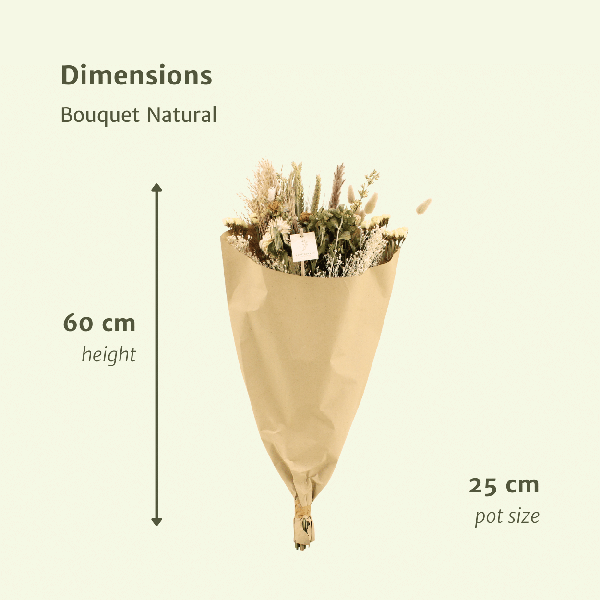 Trockenblumen Feldblumenstrauß Ø25cm ↕60cm – dekorativer Trockenblumenstrauß für Vase, Tischdeko, Wohnzimmer & Geschenkidee – Plant