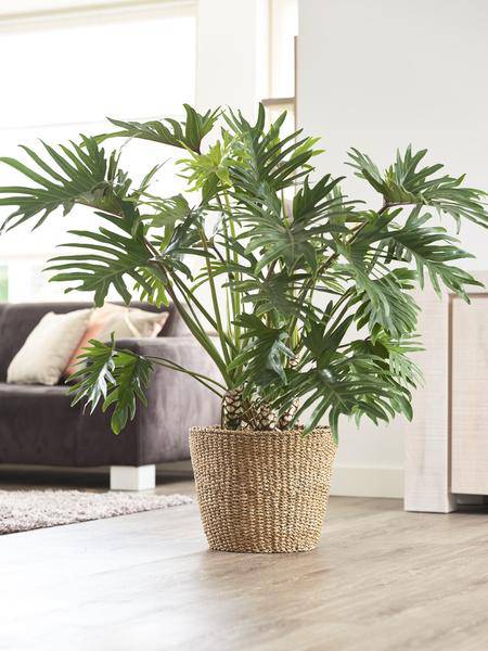 Korb – Jip Natur – XL – H31cm B37cm – Blumentopf aus Seegras – Handgefertigt – Nachhaltig – Dekokorb in Hellbraun – Plant