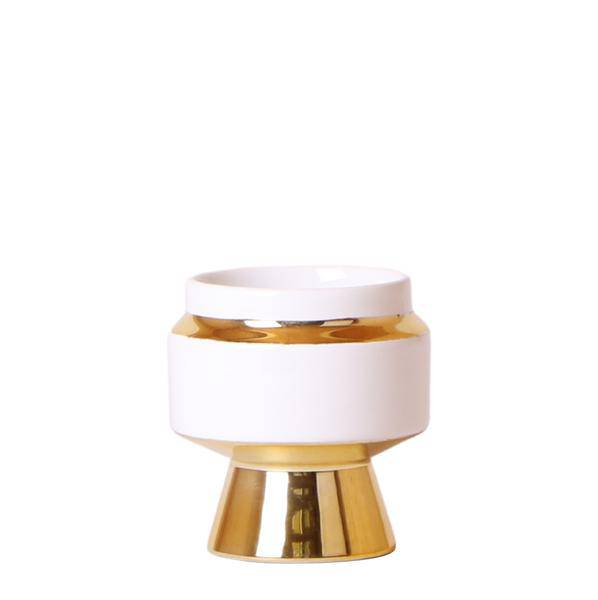 Le Chic Blumentopf Zimmerpflanze Ø6cm – blühende Orchidee für Wohnzimmer, Büro & helle Standorte kaufen – Plant