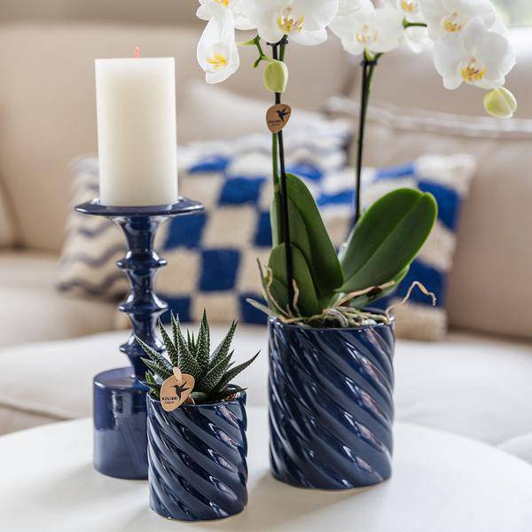 Candy Dekotopf – Hoch – Blau – Ø9cm – Moderner Keramiktopf in kräftigen Farben – Stilvoller Pflanzentopf für Zimmerpflanzen, Orchideen & Sukkulenten – Plant