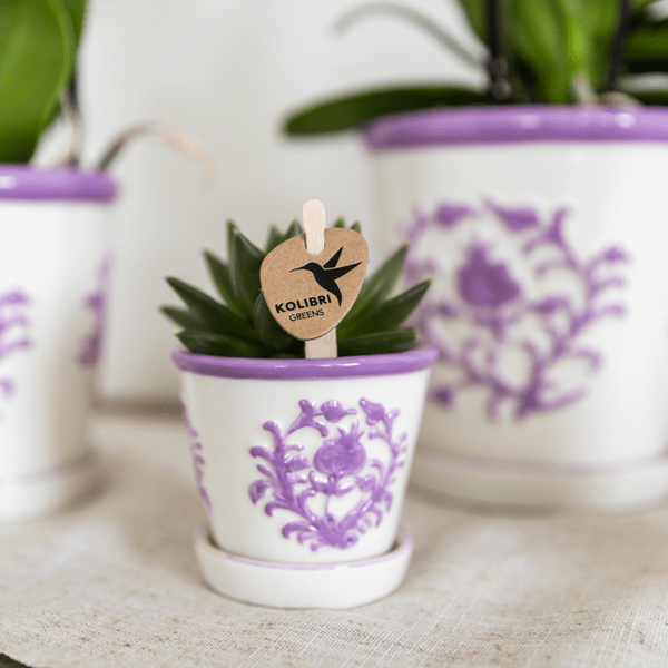 Malaga Topf – Flieder – Ø6cm – Blumentopf aus Keramik im mediterranen Stil – Handgefertigte Optik – Plant