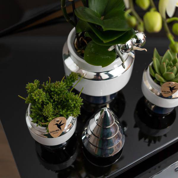 Le Chic Blumentopf Weiß mit silbernen Details – Dekorativer Keramiktopf Ø9cm – Eleganter Ziertopf für Orchideen & Grünpflanzen – Plant