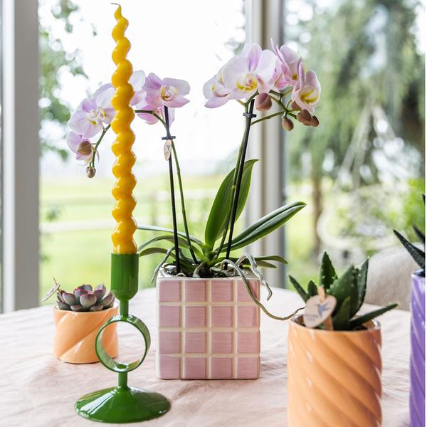 Candy Dekotopf Pfirsich – Ø6cm – Keramik Übertopf in Pastellfarbe – Stilvoller Blumentopf für Zimmerpflanzen & Orchideen – Fröhlicher Pflanzentopf – Plant