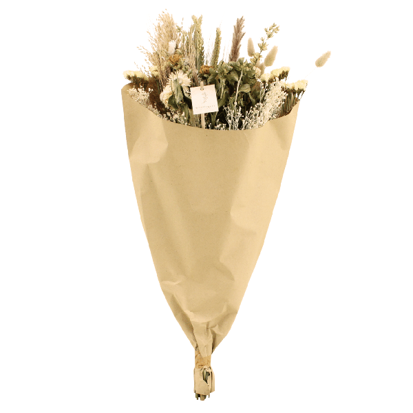 Trockenblumen Feldblumenstrauß Ø25cm ↕60cm – dekorativer Trockenblumenstrauß für Vase, Tischdeko, Wohnzimmer & Geschenkidee – Plant