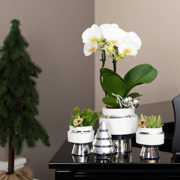 Le Chic Blumentopf Weiß mit silbernen Details – Dekorativer Keramiktopf Ø9cm – Eleganter Ziertopf für Orchideen & Grünpflanzen – Plant