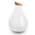 Flaschengarten ↕37cm – pflegeleichter Flaschengarten im Glas, Pflanzen Terrarium für Wohnzimmer & Büro – Plant