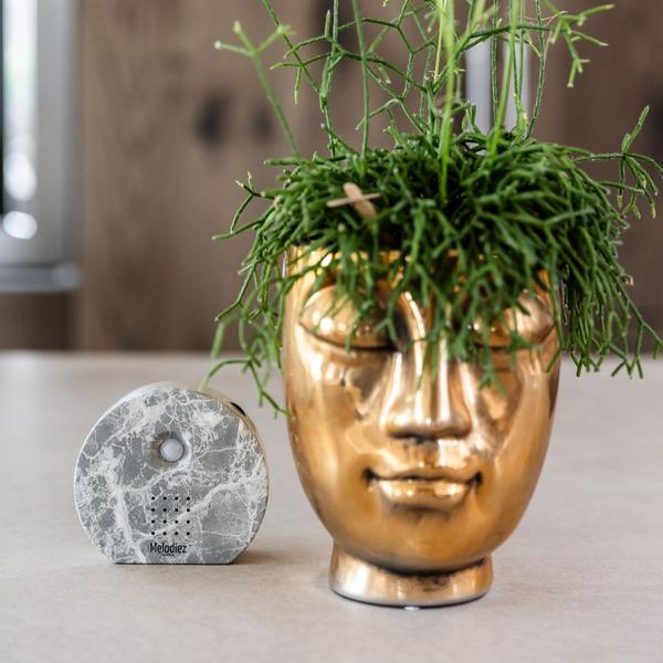 Melodiez Spieluhr – Marmor – Melody Nature Box mit Bewegungssensor – Vogelgezwitscher, Meeresrauschen & Dschungelklänge – Plant
